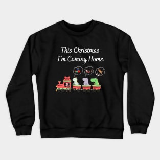 Dinosaur This Christmas I'm Comming Home Crewneck Sweatshirt